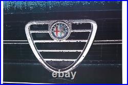 Affiche Originale Garage Concession Alfa Romeo Alfasud 1972-80 Calandre Cuore