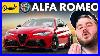 Alfa Romeo Everything You Need To Know Up To Speed