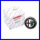 Emblème Logo original Alfa Romeo Logo arrière du hayon enfiché MiTo 159 50531454 Emblème Logo original Alfa Romeo Logo arrière du hayon enfiché MiTo 159 50531454