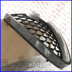 Grille Radiateur Carbone Alfa Romeo Giulia Cod. 50549334 Neuf Originale