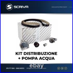 Kit Distribution Original + Pompe À Eau Alfa Romeo Giulia Stelvio 2.2 D