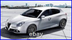 Pompe D'Alimentation Carburant Complète Originale Alfa Romeo Giulietta 51807842 Pompe D'Alimentation Carburant Complète Originale Alfa Romeo Giulietta 51807842