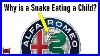 The Alfa Romeo Badge Story George And The Dragon
